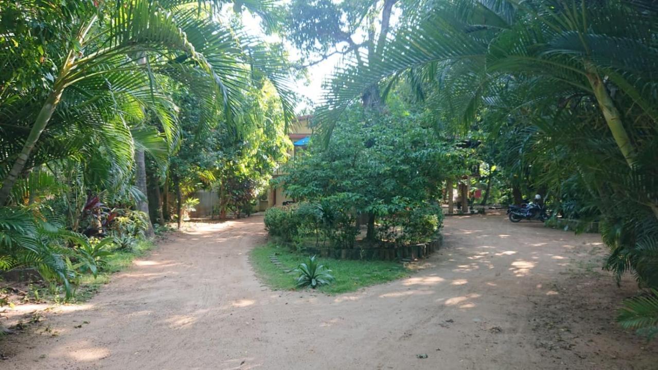 Leopard City Hostel Yala Tissamaharama Exteriör bild